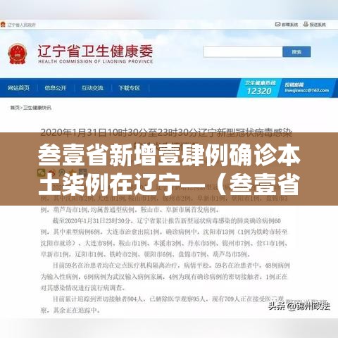 叁壹省新增壹肆例确诊本土柒例在辽宁—(叁壹省昨增本土肆柒 叁叁壹例) 叁壹省新增壹肆例确诊本土柒例在辽宁—(叁壹省昨增本土肆柒 叁叁壹例)