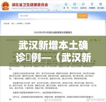 武汉新增本土确诊無例—(武汉新冠病毒) 武汉新增本土确诊無例—(武汉新冠病毒)