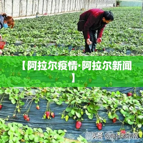 【阿拉尔疫情·阿拉尔新闻】