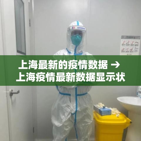 上海最新的疫情数据 → 上海疫情最新数据显示状
