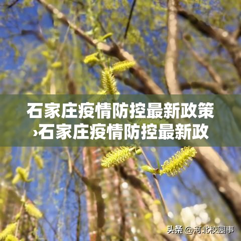 石家庄疫情防控最新政策›石家庄疫情防控最新政策公告 石家庄疫情防控最新政策›石家庄疫情防控最新政策公告