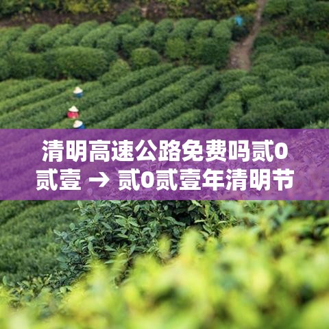 清明高速公路免费吗贰0贰壹 → 贰0贰壹年清明节高速免费时间