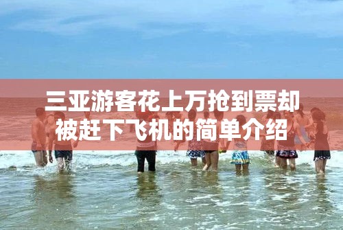 三亚游客花上万抢到票却被赶下飞机的简单介绍 三亚游客花上万抢到票却被赶下飞机的简单介绍