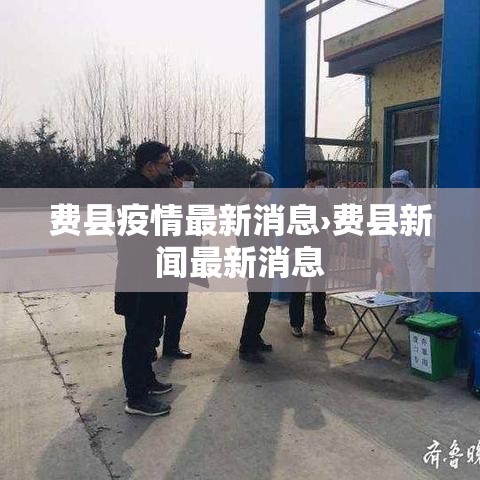 费县疫情最新消息›费县新闻最新消息