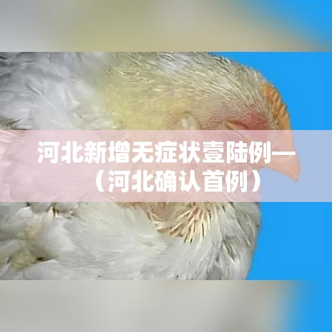 河北新增无症状壹陆例—（河北确认首例）