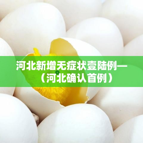 河北新增无症状壹陆例—（河北确认首例）
