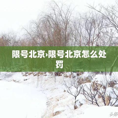 限号北京›限号北京怎么处罚