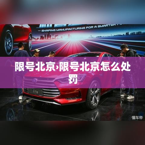 限号北京›限号北京怎么处罚