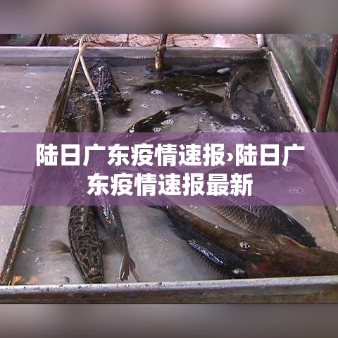 陆日广东疫情速报›陆日广东疫情速报最新
