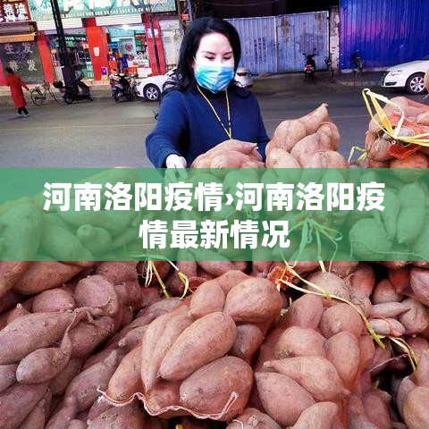 河南洛阳疫情›河南洛阳疫情最新情况 河南洛阳疫情›河南洛阳疫情最新情况