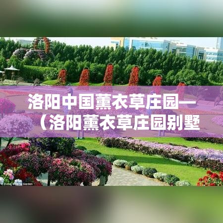 洛阳中国薰衣草庄园—(洛阳薰衣草庄园别墅) 洛阳中国薰衣草庄园—(洛阳薰衣草庄园别墅)