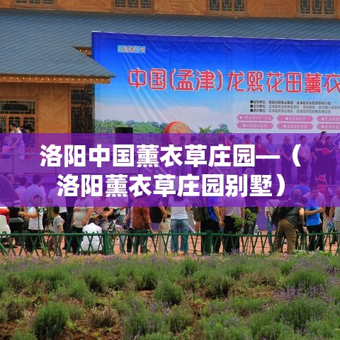 洛阳中国薰衣草庄园—(洛阳薰衣草庄园别墅) 洛阳中国薰衣草庄园—(洛阳薰衣草庄园别墅)