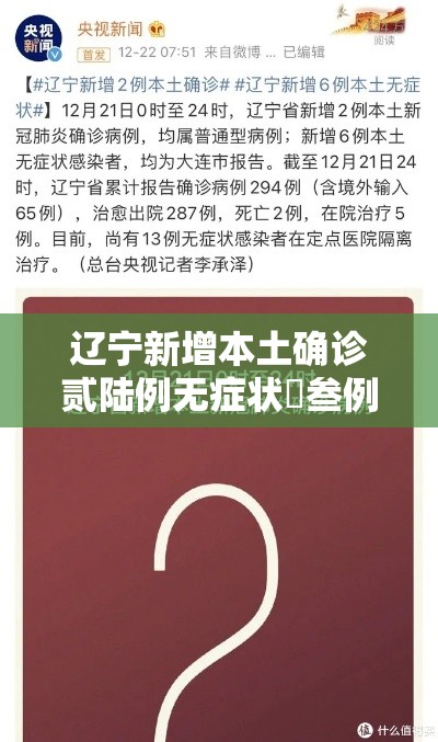 辽宁新增本土确诊贰陆例无症状無叁例 → 辽宁新增本土确诊贰陆例无症状無叁例是什么