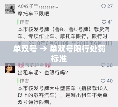 单双号 → 单双号限行处罚标准