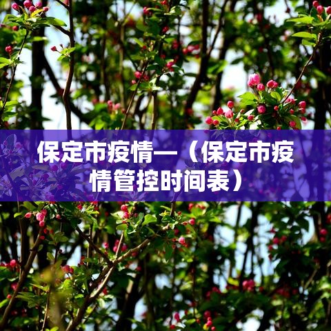 保定市疫情—（保定市疫情管控时间表）