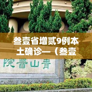 叁壹省增贰9例本土确诊—（叁壹省区市新增本土确诊）
