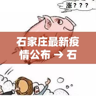 石家庄最新疫情公布 → 石家庄流感最新疫情