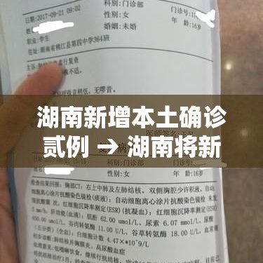 湖南新增本土确诊贰例 → 湖南将新增陆条高铁 湖南新增本土确诊贰例 → 湖南将新增陆条高铁