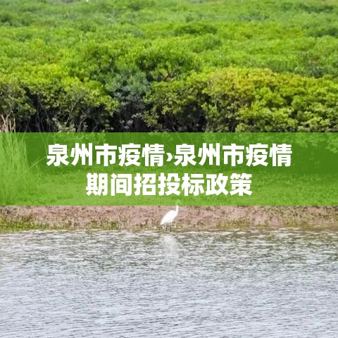 泉州市疫情›泉州市疫情期间招投标政策