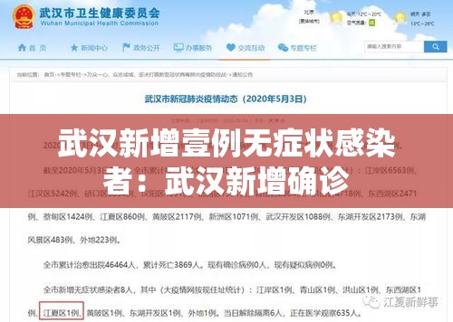 武汉新增壹例无症状感染者:武汉新增确诊 武汉新增壹例无症状感染者:武汉新增确诊