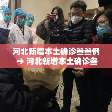 河北新增本土确诊叁叁例 → 河北新增本土确诊叁叁例是哪里的