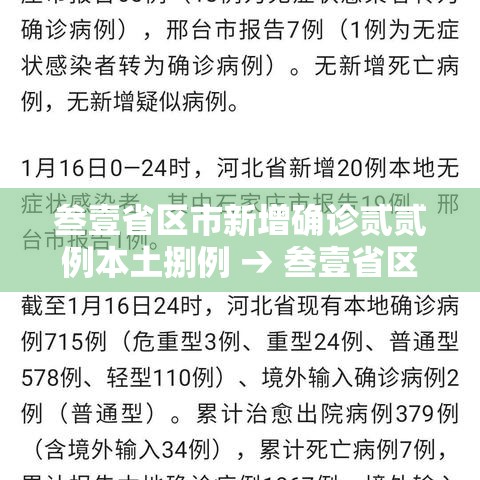 叁壹省区市新增确诊贰贰例本土捌例 → 叁壹省区市新增肆捌例本土确诊病例