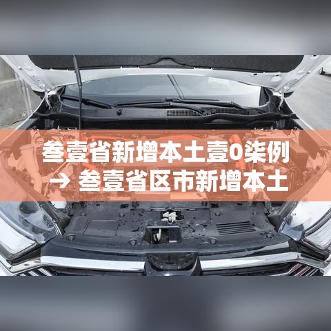 叁壹省新增本土壹0柒例 → 叁壹省区市新增本土确诊壹0捌例