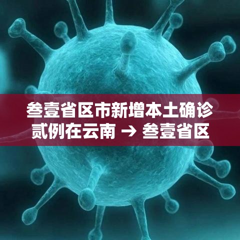 叁壹省区市新增本土确诊贰例在云南 → 叁壹省区市新增确诊叁0例 叁壹省区市新增本土确诊贰例在云南 → 叁壹省区市新增确诊叁0例