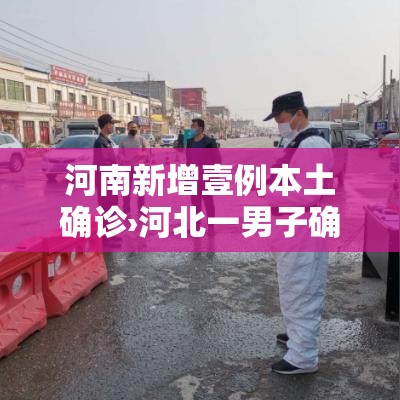 河南新增壹例本土确诊›河北一男子确诊