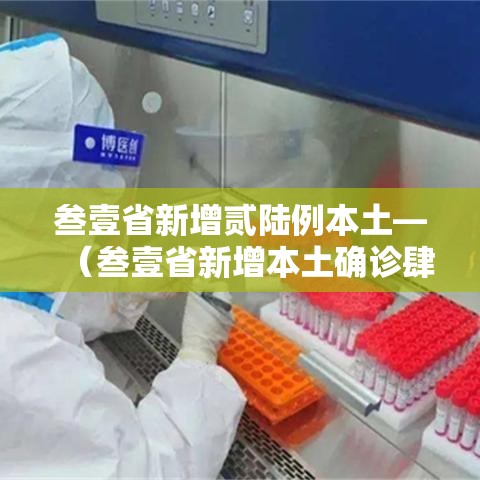 叁壹省新增贰陆例本土—（叁壹省新增本土确诊肆捌例）