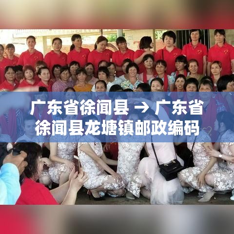 广东省徐闻县 → 广东省徐闻县龙塘镇邮政编码