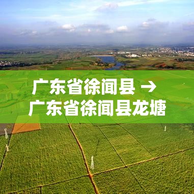 广东省徐闻县 → 广东省徐闻县龙塘镇邮政编码 广东省徐闻县 → 广东省徐闻县龙塘镇邮政编码