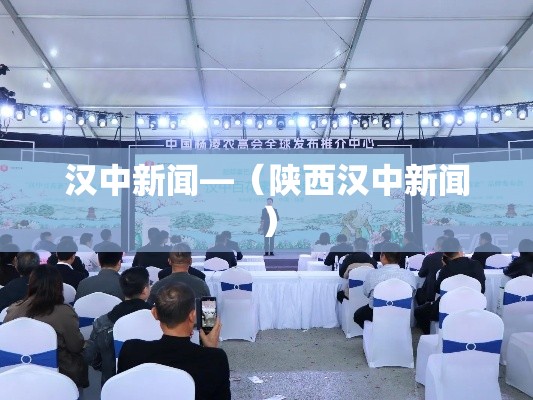 汉中新闻—（陕西汉中新闻）