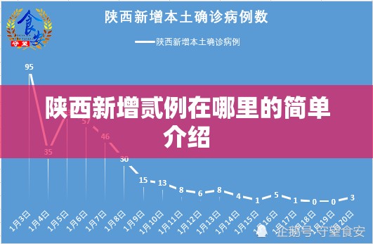陕西新增贰例在哪里的简单介绍