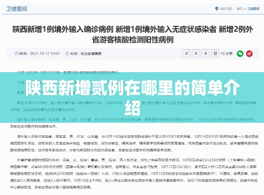 陕西新增贰例在哪里的简单介绍