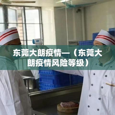 东莞大朗疫情—（东莞大朗疫情风险等级）