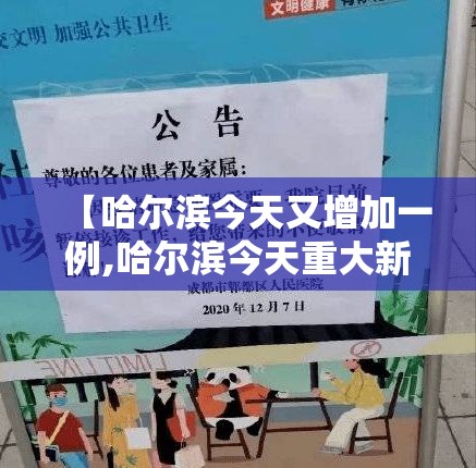 【哈尔滨今天又增加一例,哈尔滨今天重大新闻】
