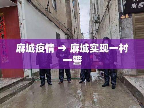 麻城疫情 → 麻城实现一村一警