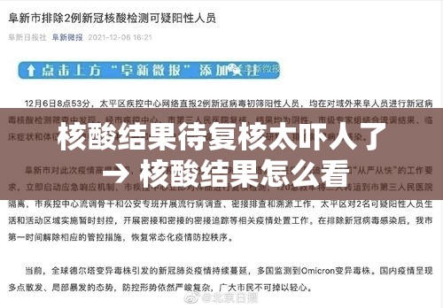 核酸结果待复核太吓人了 → 核酸结果怎么看 核酸结果待复核太吓人了 → 核酸结果怎么看