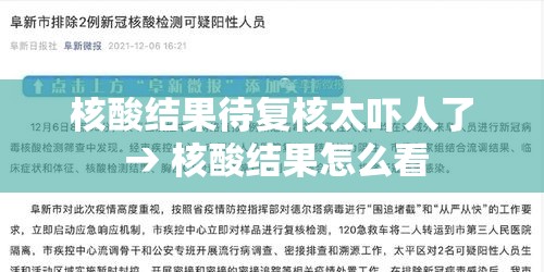 核酸结果待复核太吓人了 → 核酸结果怎么看 核酸结果待复核太吓人了 → 核酸结果怎么看