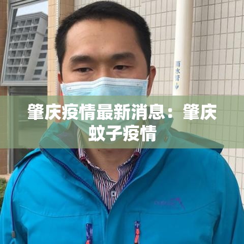 肇庆疫情最新消息:肇庆蚊子疫情 肇庆疫情最新消息:肇庆蚊子疫情