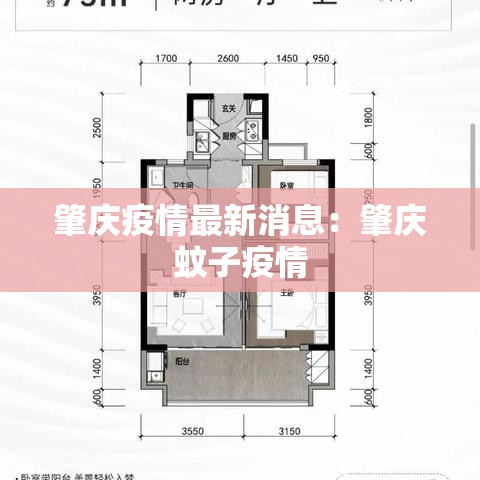 肇庆疫情最新消息:肇庆蚊子疫情 肇庆疫情最新消息:肇庆蚊子疫情