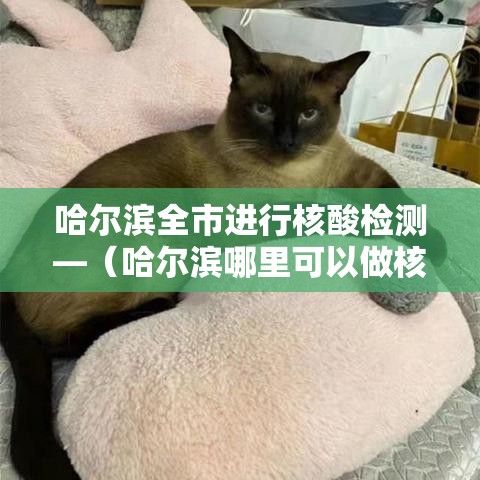 哈尔滨全市进行核酸检测—（哈尔滨哪里可以做核酸检测）