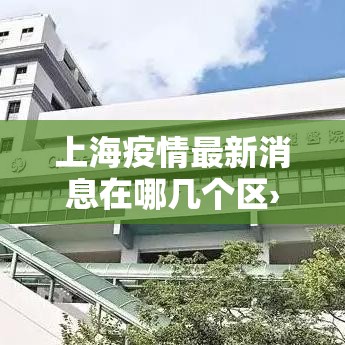 上海疫情最新消息在哪几个区›上海疫情封控合理吗