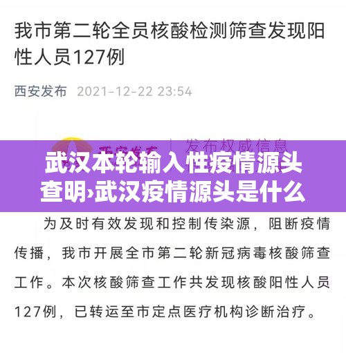 武汉本轮输入性疫情源头查明›武汉疫情源头是什么引起的 武汉本轮输入性疫情源头查明›武汉疫情源头是什么引起的