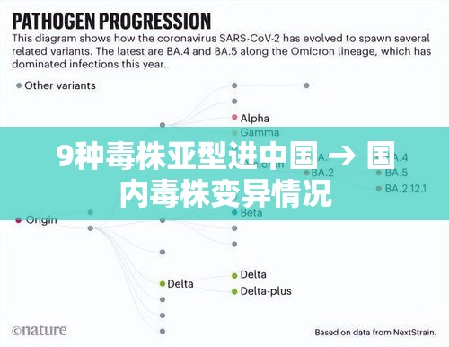 9种毒株亚型进中国 → 国内毒株变异情况
