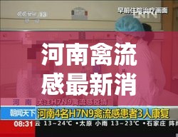 河南禽流感最新消息：全国禽流感最新消息今天