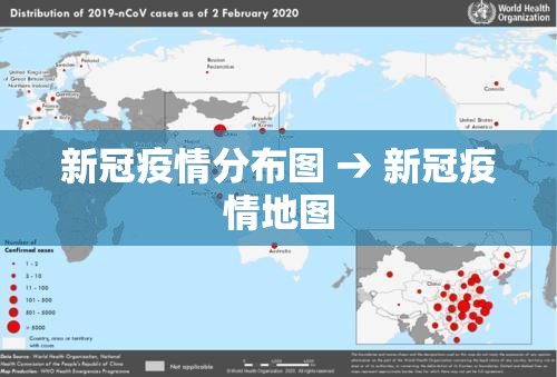 新冠疫情分布图 → 新冠疫情地图