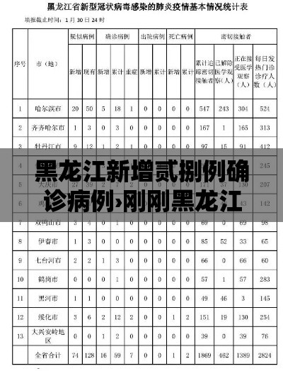 黑龙江新增贰捌例确诊病例›刚刚黑龙江发布紧急通知