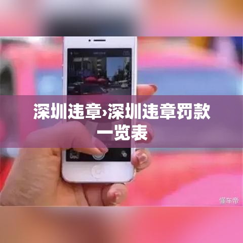 深圳违章›深圳违章罚款一览表